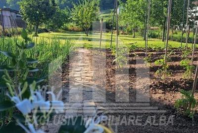 Teren intravilan | De vanzare | 600 mp | 13.6 ml deschidere | Ciugud - 1