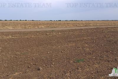 Oferim spre vanzare 6 loturi de teren extravilan (agricol) in Petrachioaia ILFOV - 9