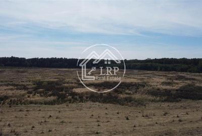 Teren Voluntari-Pipera | 3.700mp | Zonă Pădure & Școli Internaționale - 5