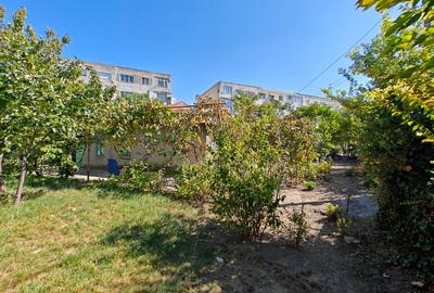 VANZARE TEREN MANGALIA - 5