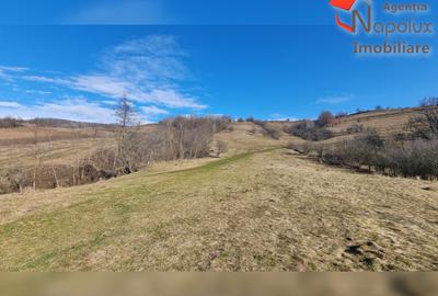 Teren de exceptie 3,1 ha intravilan | Panorama, utilitati, acces dublu | Sard - 8