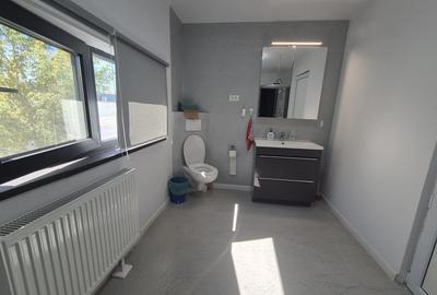 De vanzare Hală Industrială Premium cu Poziție TOP în Pantelimon - 25
