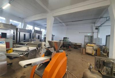 Ocazie! Spatiu industrial P+1 cu 1300mp suprafata utila ,in Cisnadie - 8