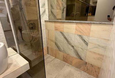 Apartament 2 camere de inchiriat Grozavesti(Novum) - 27