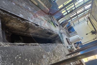 Spațiu industrial 15435 mp. de vânzare in Tinca. - 13