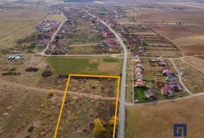 Teren ideal ca investiție, 19000 mp, în Pișchia pe DJ691, comision 0 - 7