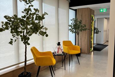 Birou modern de inchiriat in Complexul HIMSON - 17