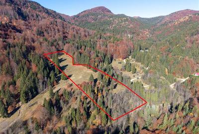 Teren de Vis langa Siriu   20000 mp ideal pentru Complex turistic Comision 0% - 1