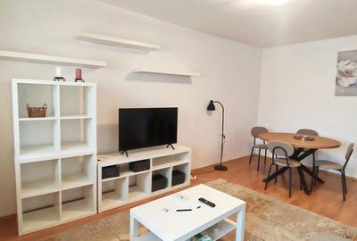 Dristor - Baba Novac 2 camere mobilat modern - 1