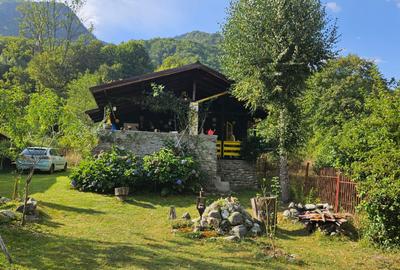 Casă de vacanță -Malaia, aproape de natura - 2