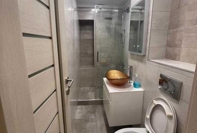 De Inchiriat Apartament 2 camere renovat, modern, Nerva Traian - 5
