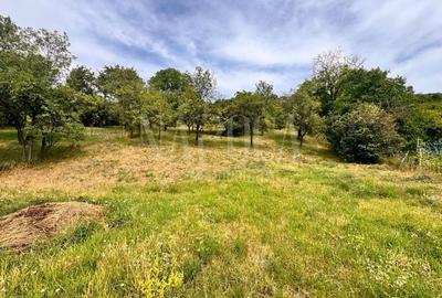 Casa 4 camere de vanzare in Suceagu - 1