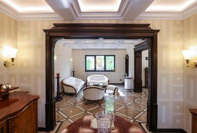 Apartament exclusivist tip duplex, 7 camere + curte, zona Parcul Carol - 21