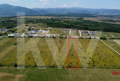 Teren intravilan 5100 mp, Cisnadie - ideal pentru investitie - 3