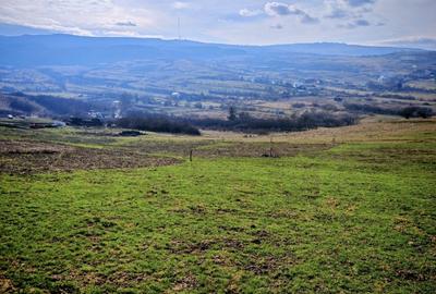 TEREN INTRAVILAN ,17.350 mp , in zona BORHANCI - SOPOR - 2