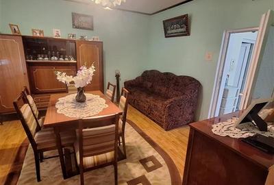 Bocsa Vasiova, Casa cocheta pentru familie, cu Gradina. - 20