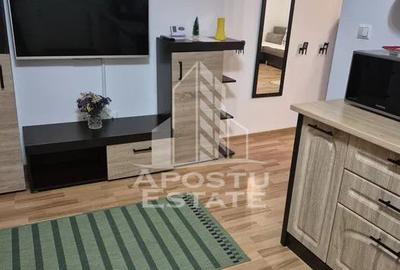 Apartament cu 2 camere decomandat, mobilat în Șagului