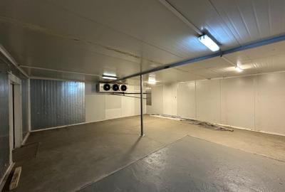 Depozit / Comercial - 95 MP - Refrigerare & Inghet - Birouri - Berceni - NOU - 9