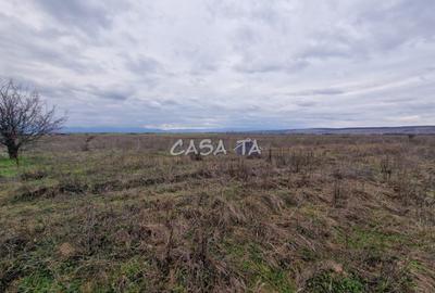 Teren Extravilan (5900 mp),situat in Targu-Jiu, Preajba-Dragoieni - 2