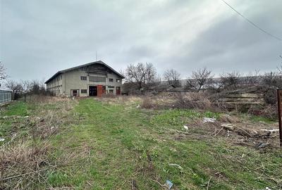 Hala, spatiu comercial, vad, de la 423mp la 1744mp, Vama Albita - 17