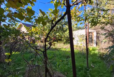 Valu lui Traian - teren 400 mp + casa 3 camere (72 mp ) /necesita renovare - 7