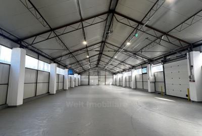 Depozit 484mp, zona industriala Someseni Aeroport - 1