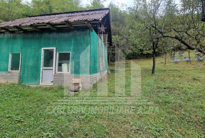 Casa individuala | 120 mp | 1342 mp teren | Livada | Cetea - 12