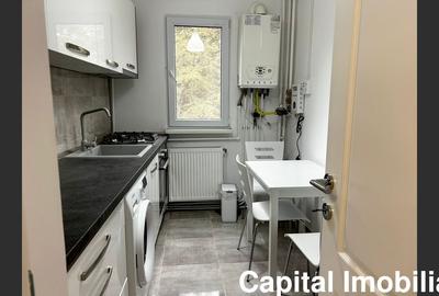 Apartament de vis – complet renovat, mobilat, etaj 2/4 - 11
