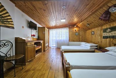 Vanzare vila Busteni, P+1+M / Zamora / pensiune / comision 0% - 8