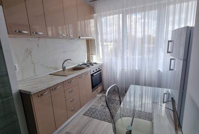 Oancea, apartament mobilat si utilat, 2 camere open space, bloc nou