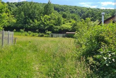 Teren 2033 mp- langa padure-  Margineni- Podis Dubas - 3