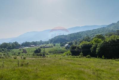 Teren 1.375 mp în Cristian, lângă Mănăstirea Sfântul Efrem cel Nou - 5