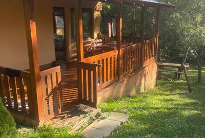 Casă de vancata lângă râu- Provița de Jos - 2
