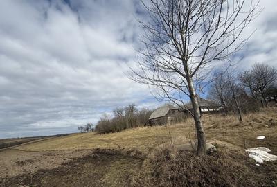 Teren intravilan | 16 ari | Horodnic de Jos – zona Călugărița - 3