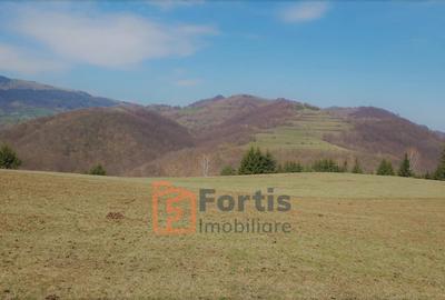 Teren zona de interes turistic 12 000 mp - 6