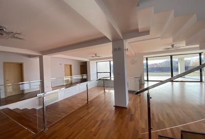 Vila / Birouri / Clinica  650 mp + 3000 mp teren - 3