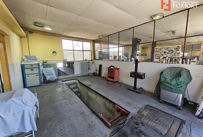 Oportunitate afacere: Spatiu industrial + Casa de locuit - Bogdanestilor - 22