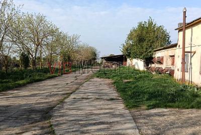 Ferma avicola inchiriere sau vanzare, localitatea Calacea - 5