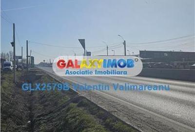Teren 1 Decembrie COD 250 - 7