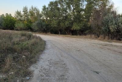 Teren Cernavodă 14.000 m/4 euro m - 15