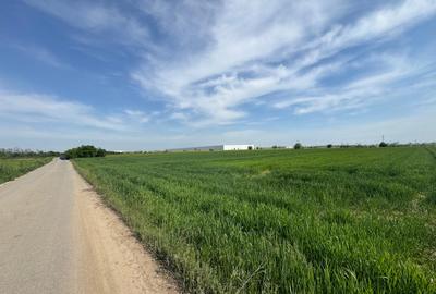 OPORTUNITATE| Teren intravilan 5.000 mp | Ghionea – Ulmi – Giurgiu |dubla D - 5