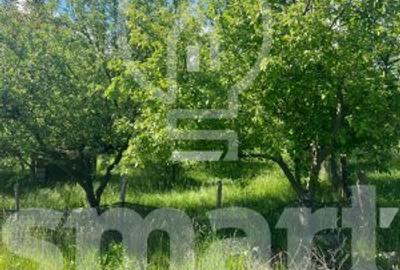 Teren cu autorizatie casa individuala Borhanci - Soporului - 5