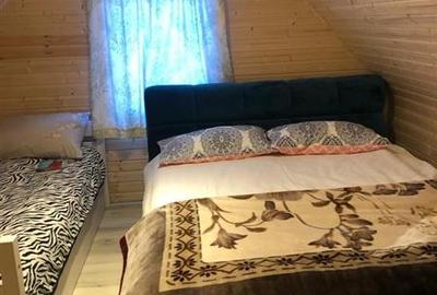 Cabana de vanzare cu 500mp  teren  pe Valea Racataului - 5