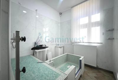 Spatiu comercial de inchiriat in Oradea cu echipament pentru coafura canina - 2