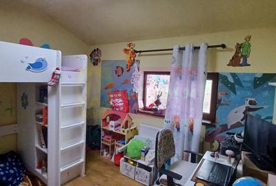 Săbăreni, casă 2011, P+M 4 camere + dependințe, curte 500 mp - 10