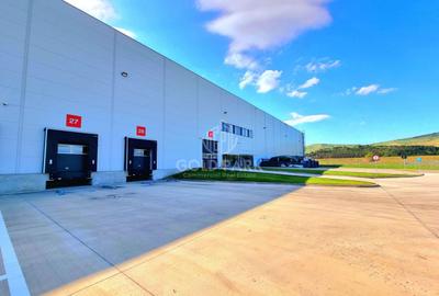 Spatiu Industrial/Hala - PARC INDUSTRIAL - CLASA A-3.000 mp - 2