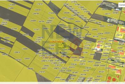 Teren extravilan de vanzare 6000 mp - zona Palas - propunere intravilan - 3