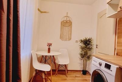 Dristor - Aleea Moreni - Garsoniera mobilata , bloc mixt - 4