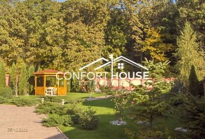 VILA D+P+E+M, 12 camere, piscina , padure, IANCU NICOLAE - 14