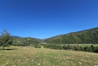 Teren intravilan, 21.000 mp, Zona Intre Barse, spre Plaiul Foii, Zarnesti - 2